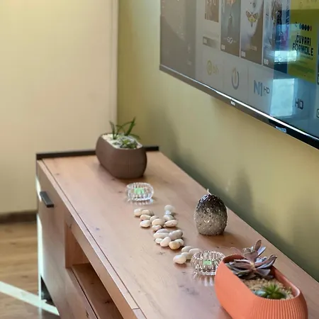 Zen 福伊尼察